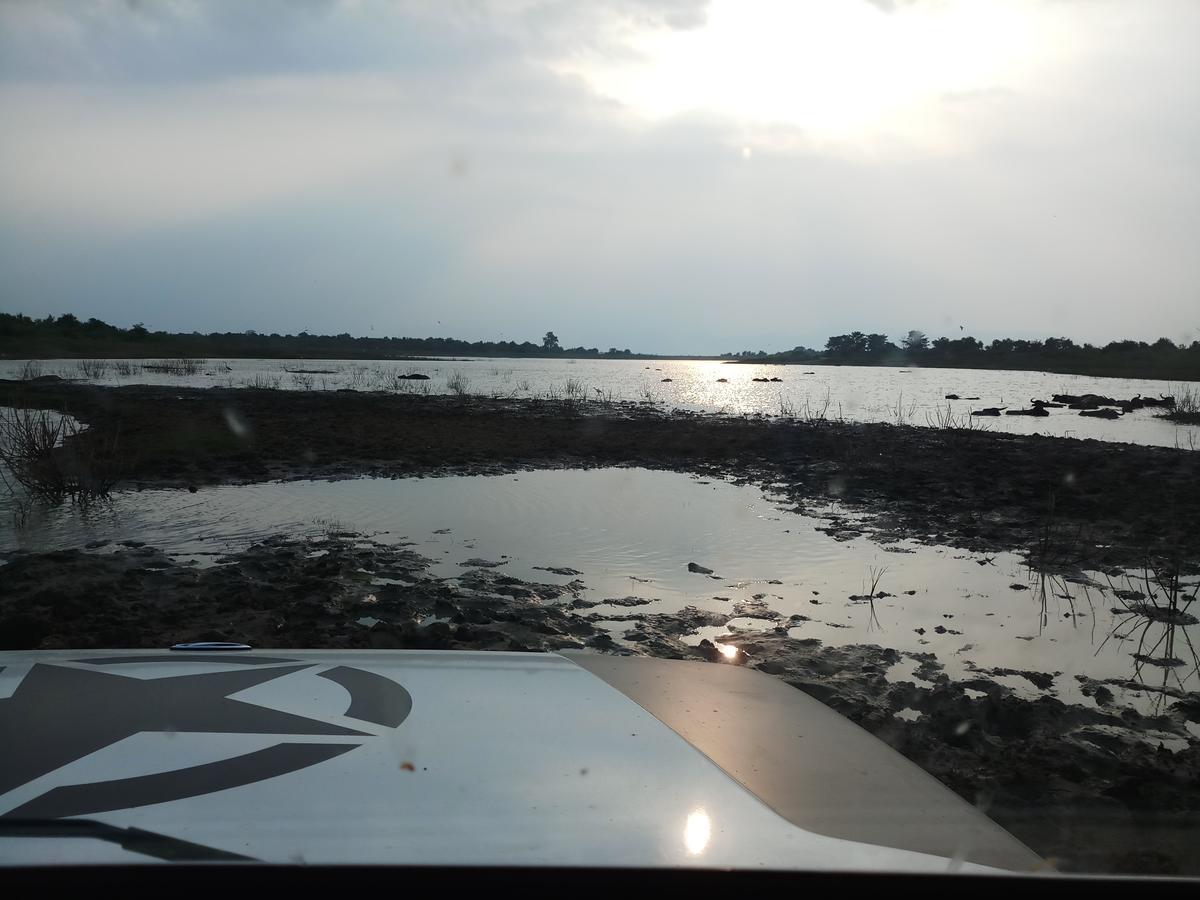 Cassia Udawalawe Hotel Bagian luar foto
