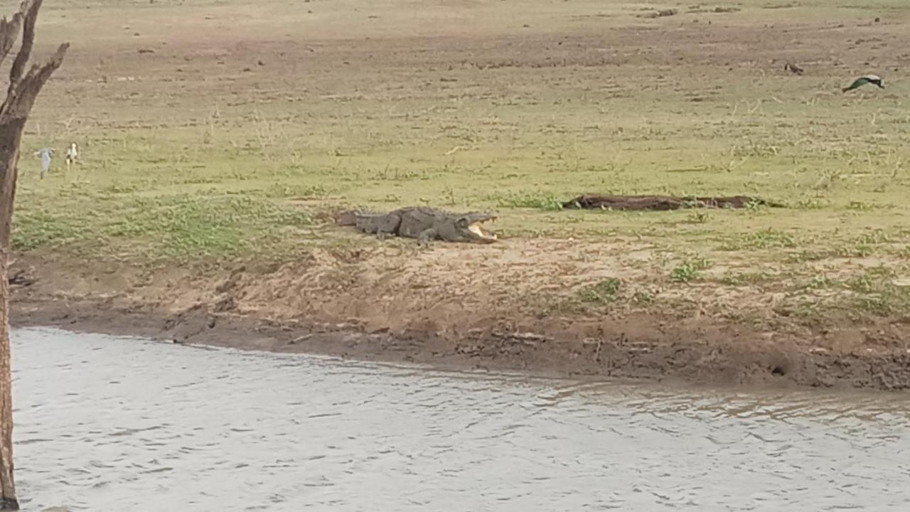 Cassia Udawalawe Hotel Bagian luar foto